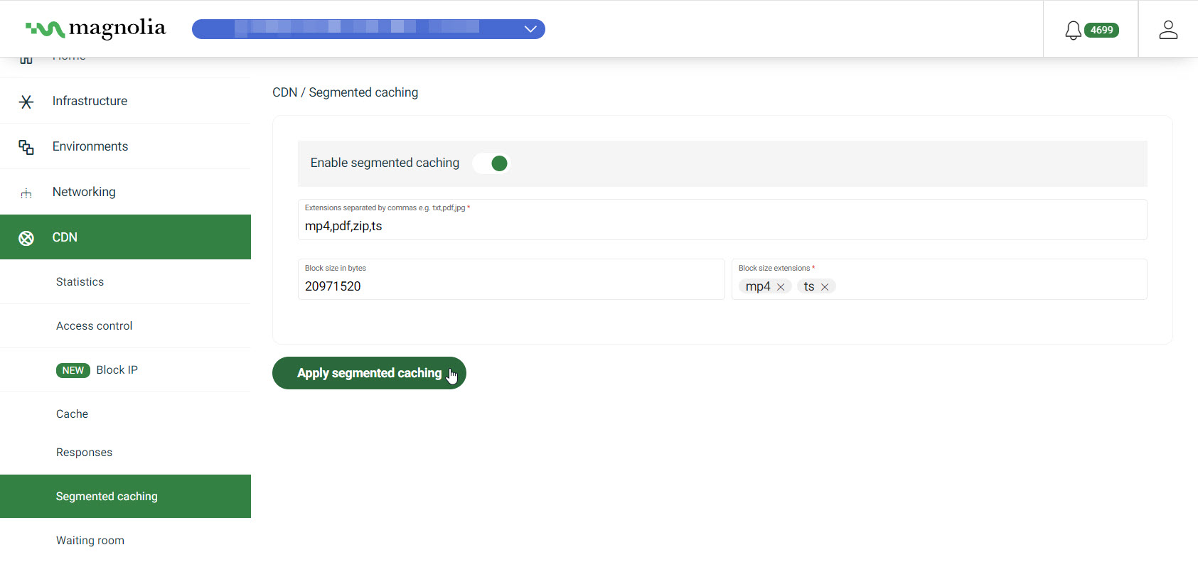 Segmented caching settings