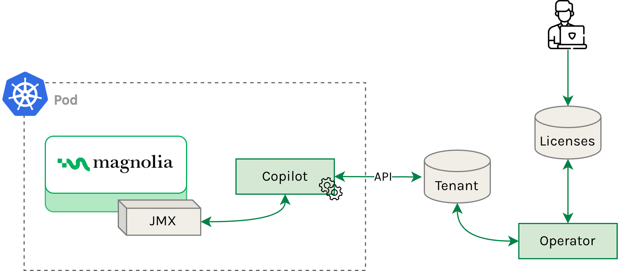 Automatic licensing flow